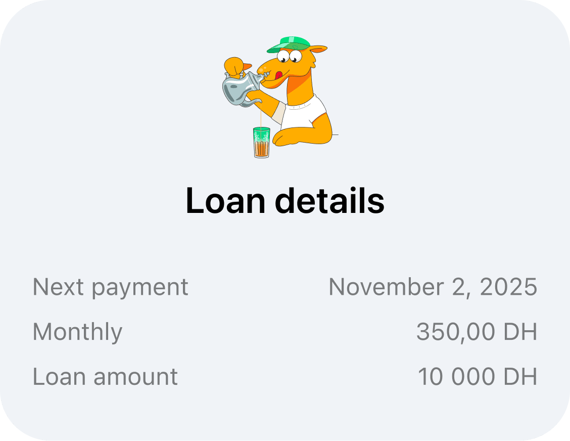 View your loan details